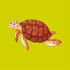 turtle cartoon vector