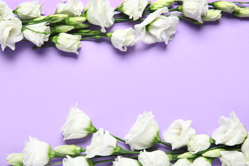 Composition with white eustoma flowers on lilac background, closeup