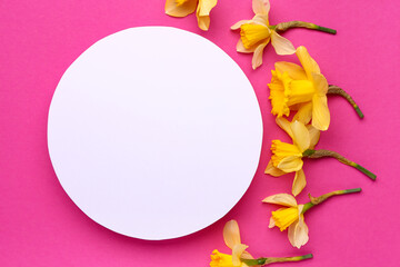 Beautiful narcissus and round blank card on color background