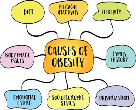 lifestyle, genetic, environmental and pychological causes of obesity, mind map infographics sketch