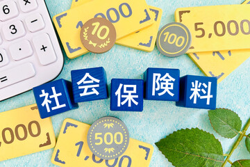 国民健康保険料、国民年金は社会保険料の項目に記入する