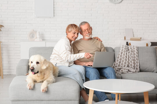 Mature couple with laptop and Labrador dog sitting on sofa at home - Powered by Adobe