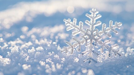 A snowflake is on top of the snow