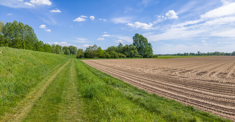 Obraz premium Footpath along the flood embankment by the agricultural field in springtime.