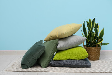 Cushions and houseplant near blue wall in room