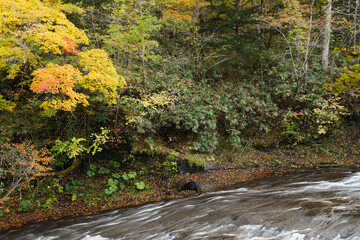 恵庭渓谷の紅葉