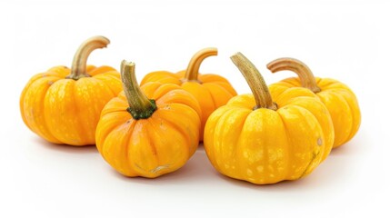 Obraz premium Yellow pumpkins on white background for Halloween and Thanksgiving