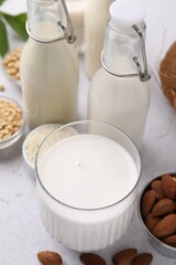 Different types of vegan milk and ingredients on light grey table, closeup