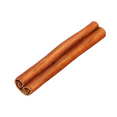 Dry cinnamon spice stick watercolor illustration. Nature raw organic spice from a tree bark. Hand drawn cinnamon using in medicine, food and aromatherapy element. Isolated on white background