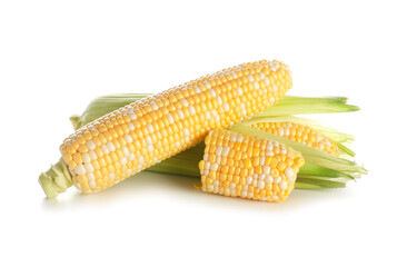 Fresh corn cobs on white background