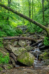 Fototapeta premium mountain stream