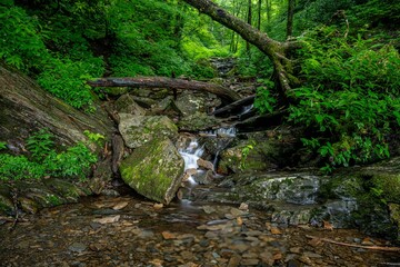 mountain stream