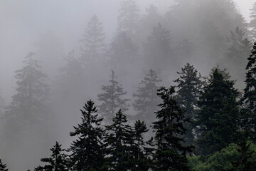 smoky mountains