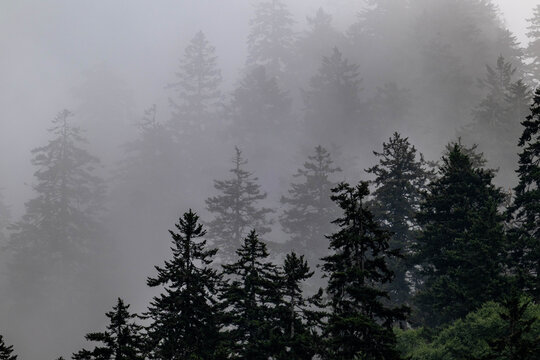 smoky mountains