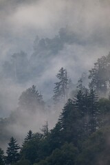 smoky mountains