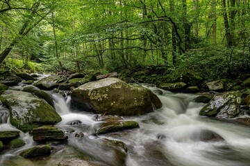 waterfall in summer