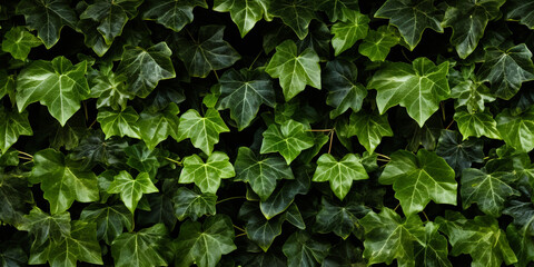 Wild ivy leaves cover a wall or old tree Artificial Intelligence Generated