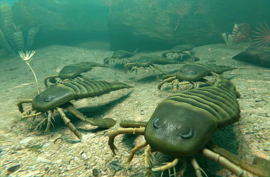 Eurypterus Crawling on Silurian Sea Bottom