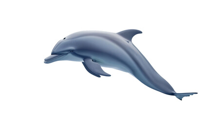 Fototapeta premium Isolated dolphin isolated on white background.