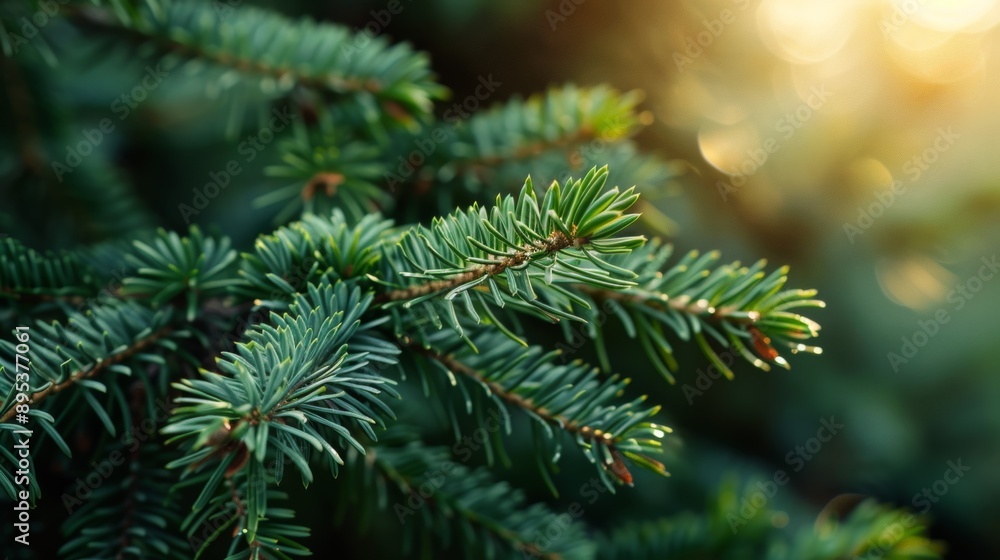 Poster a green tree branch with leaves that are pointed and have a shiny appearance