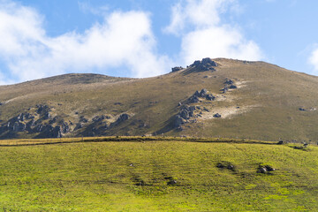 Obraz premium Hills and yellow mountains, hills of the Andes