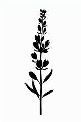Black and white flat vector art of a lavender sprig, svg style, isolated on white background, simple vector art design 