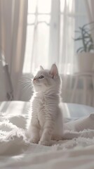Fluffy White Kitten Sitting on a Bed in Sunlit Room with Soft Curtains and Potted Plant