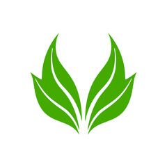 fresh leaf nature logo vector illustration template design