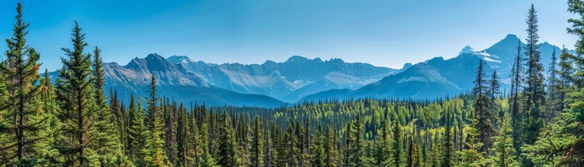 Fototapeta premium Pine forest with rocky peaks in the distance, clear blue sky, crisp air, Environment, Mountain Air, copy space for text, focus cover all object, deep dept of filed