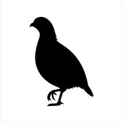 Bird of quail silhouette on white background. Quail icon vector sign illustration design.