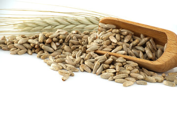 Wooden scooper filled with rye grains on white background