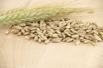 Rye grains and stalks for natural food and agriculture background