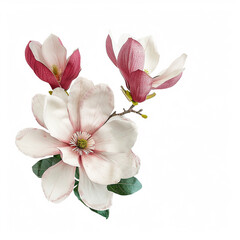 Obraz premium flower