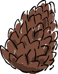 Stylish hand drawn illustration of a Pine Cone, coloring autumn.