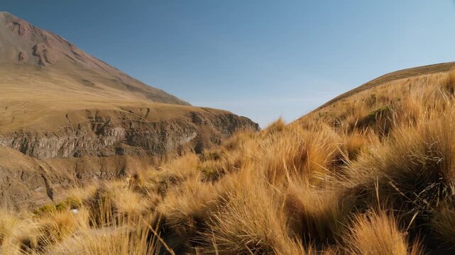 view of the Misti volcano from the Salinas Reserve, Arequipa