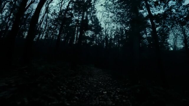 Grainy Film of POV Found Footage in a Creepy Forest at Night