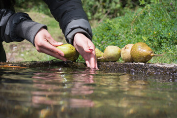 Washing pears hands
