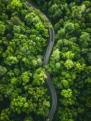 Aerial view of a winding road through a lush green forest with a scenic and serene landscape