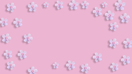 white pink flower on pink background, Creative lifestyle, summer or  spring concept. Copy space, flat lay, top view. 
