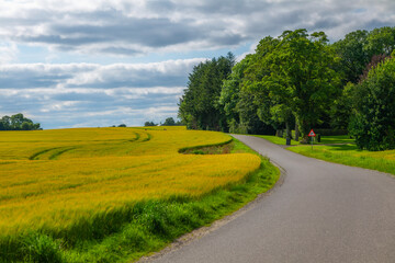 road in the countryside