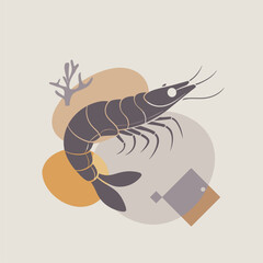 Large prawn shrimp, drawn by graphic lines on a blobs background. Element for a menu of fish restaurants, for packaging in markets and in stores. Healthy seafood concept