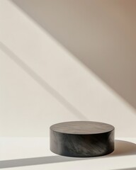 Minimalist Mockup Featuring a Vibrant Black Circular Podium on Soft White Background with Diffused Natural Lighting