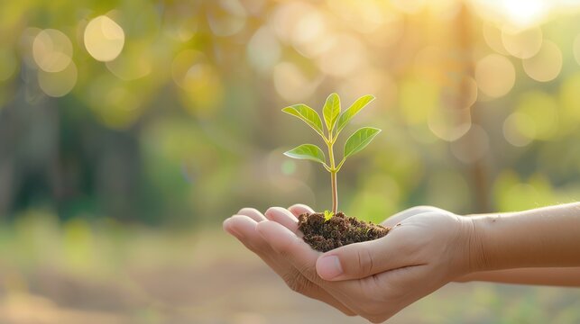 Restoring and sustaining with provision, Restore, Sustenance, Provision
