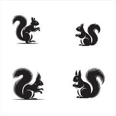 silhouette of  Squirrel on clean vector isolated on white background 