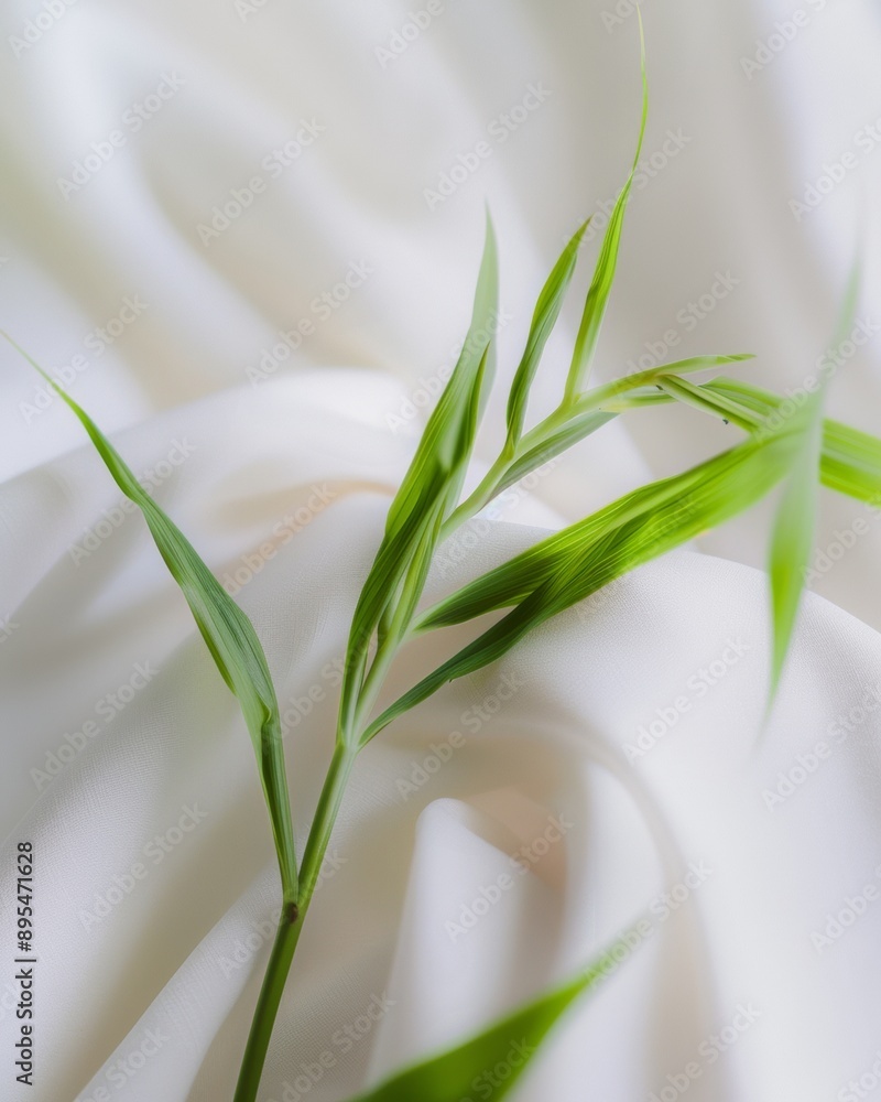 Poster abstract botanical image of green sprig on soft white fabric bag with symmetrical blurry text, long 
