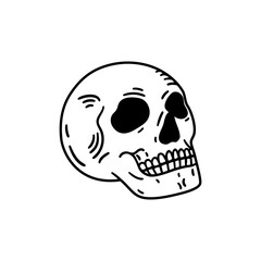 Vintage human scull. Hand drawn illustration in sketch style.