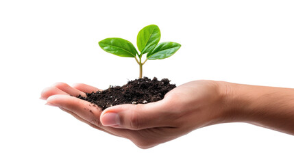 Hand holding a small plant with green leaves and soil. The image, set against a transparent background, symbolizes growth, nurturing, and environmental care.