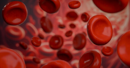 red blood cells