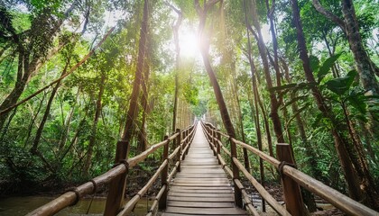 Obraz premium A pristine forest is an undisturbed ecosystem, rich in flora and fauna, crucial for environmental balance.