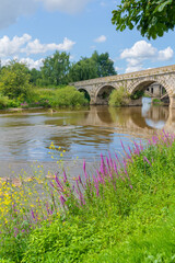 Fototapeta premium Atcham bridge from the banks of the fast flowing River Severn in Atcham, Shropshire, UK on a summer's day in portrait orientation